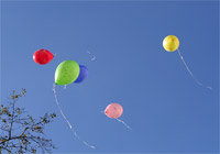 фото: Воздушные шарики (опубликовано 03.11.2005)