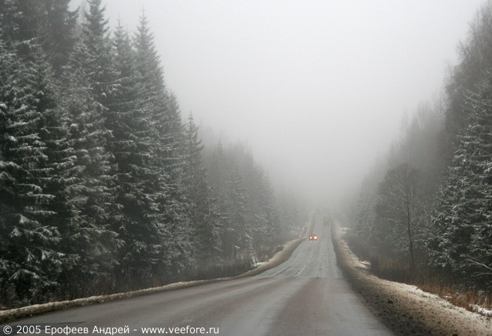 Дорога в тумане #2