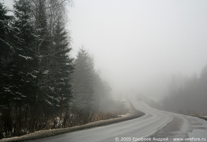 Дорога в тумане #4