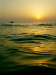 фото: Море, Солнце, кораблик... (опубликовано 19.08.2006)