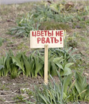 :     ( 20.04.2007)