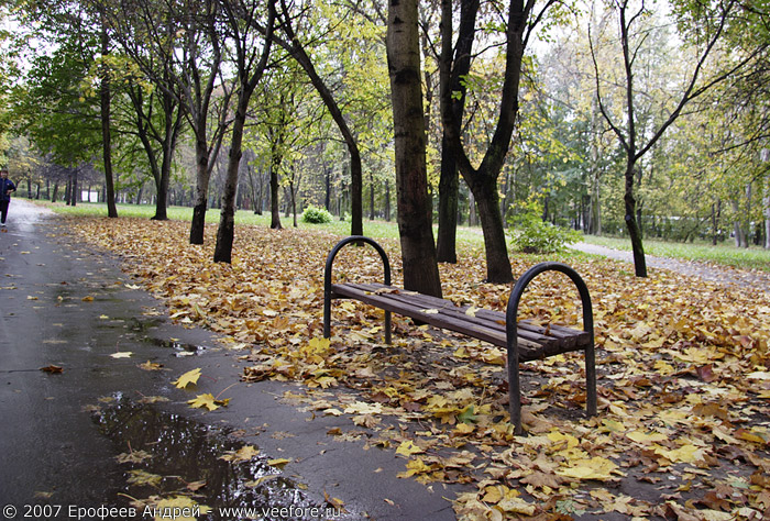 Одинокая скамейка в парке