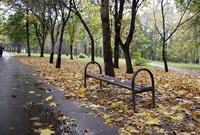 фото: Одинокая скамейка в парке (опубликовано 13.10.2007)