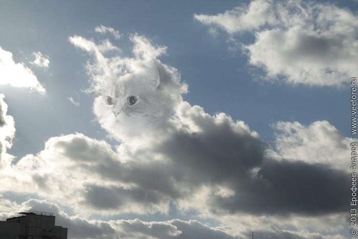 Облако-кошка