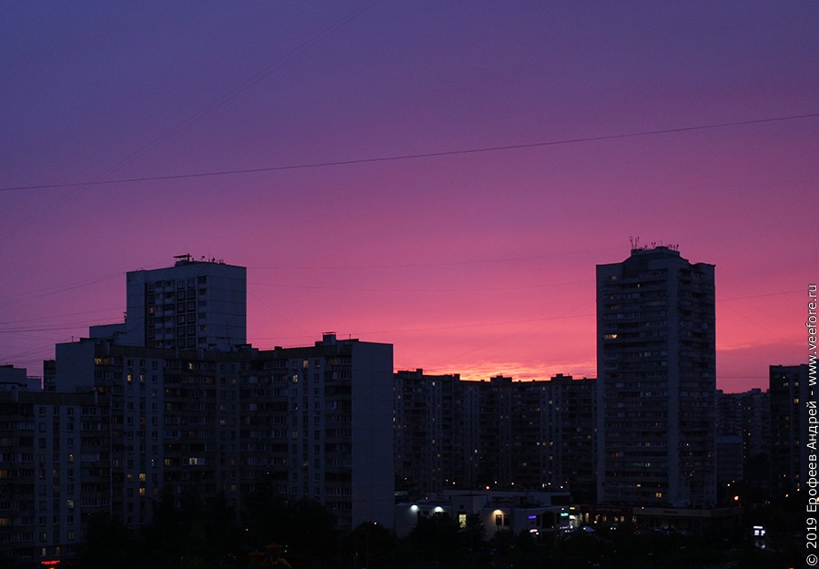  26.06.2019